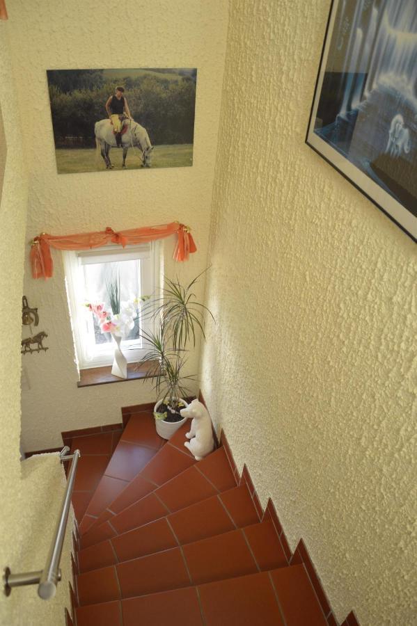Ferienwohnung Auszeit Waxweiler Exterior photo